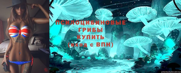 твердый Зеленодольск