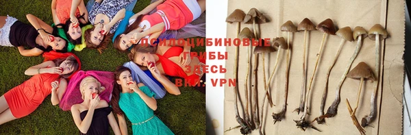 Альфа ПВП Зерноград